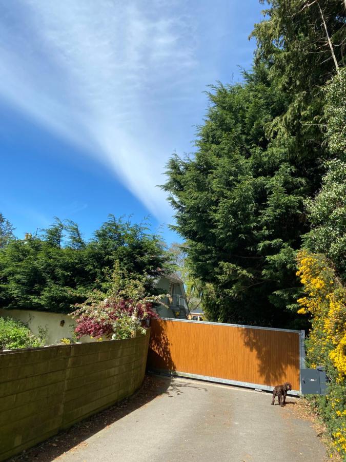 Scarr View 1St Floor Apartment A98W710 Wicklow Eksteriør bilde